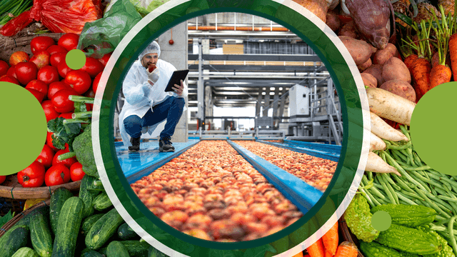 food industry dock equipment Stertil Dock Products